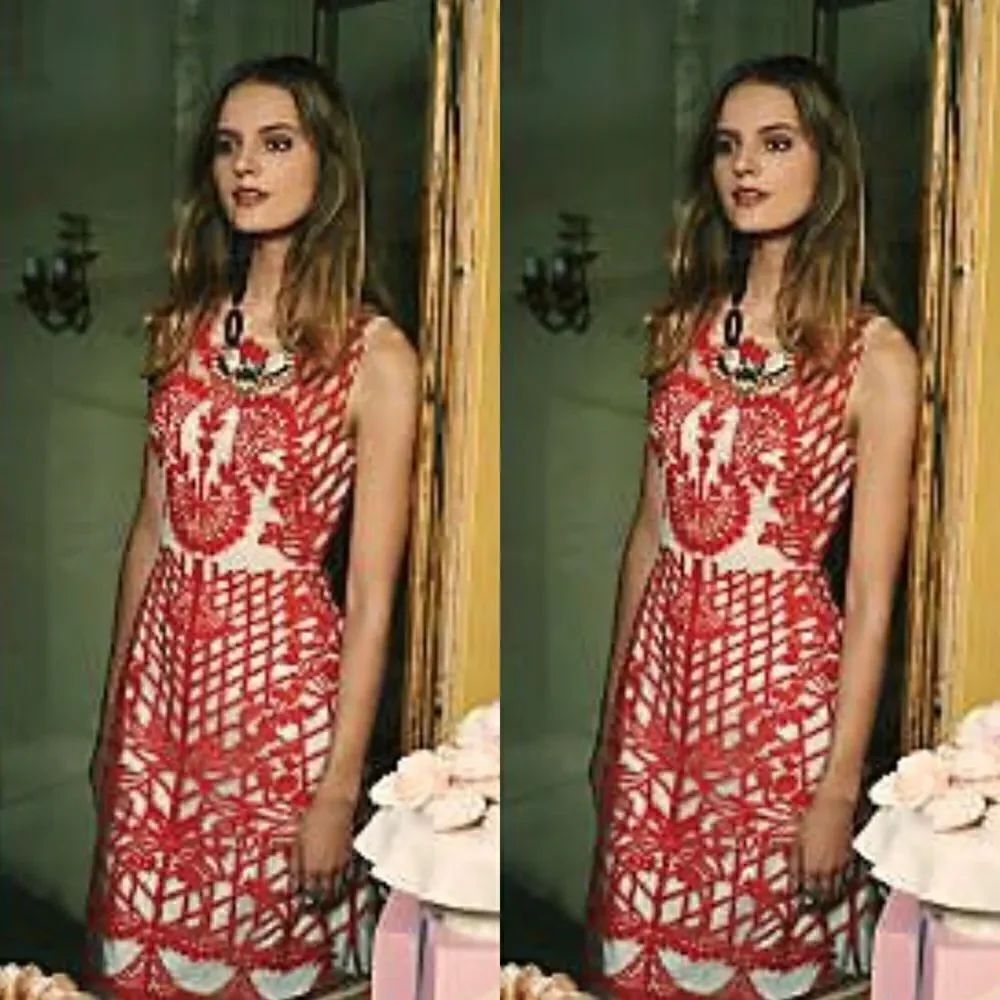 💯 ANTHROPOLOGIE Sugared Ruby Sheath - Picture 2 of 8